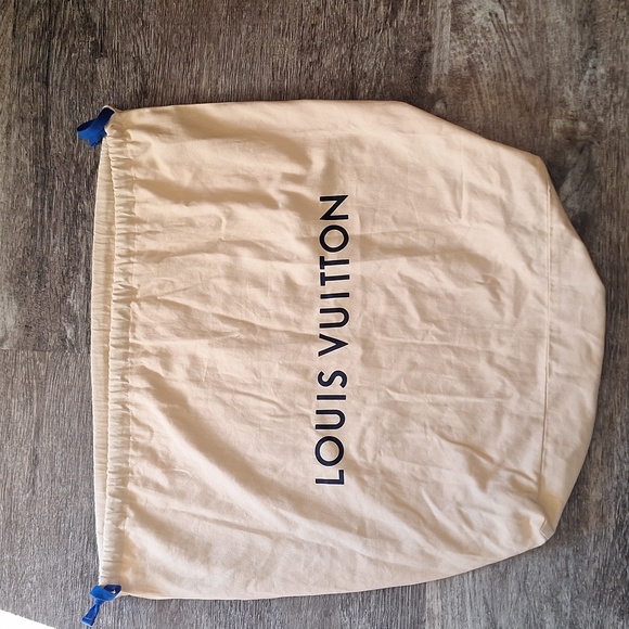 Louis Vuitton Palm Springs backpack - Picture 13 of 13